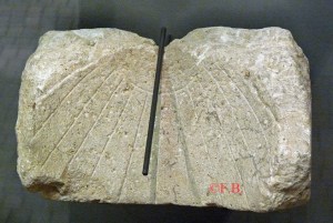 scaphé_musée_carnavalet