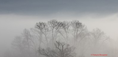 img_19429-photo-du-mois