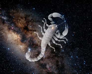 constellation_scorpion