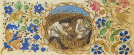 travaux-du-mois-taille-de-la-vigne