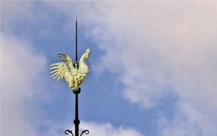 coq-notre-dame-de-paris